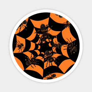 Halloween Tarantula Spiders in Orange and Black Tunnel Magnet